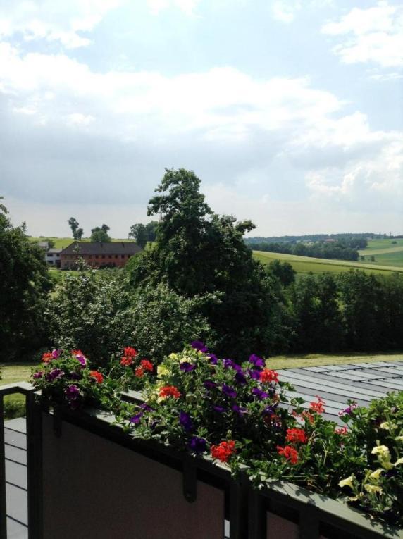 1A Landhotel Schicklberg Kremsmünster Exteriér fotografie